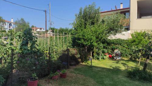 Polynikis Apartment - Foto 4, Garden, Garden view