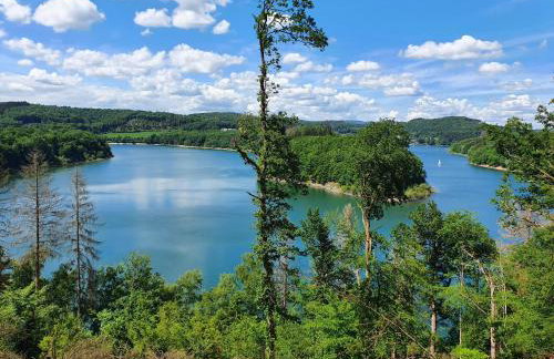 Natur-Design "Platzhirsch Sauerland" - Sauna, Kamin, Balkon, Garten, Hütte, Grill - Foto 62