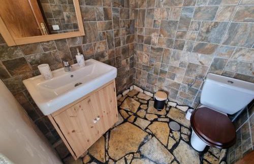 Iraña del bosque - Foto 9