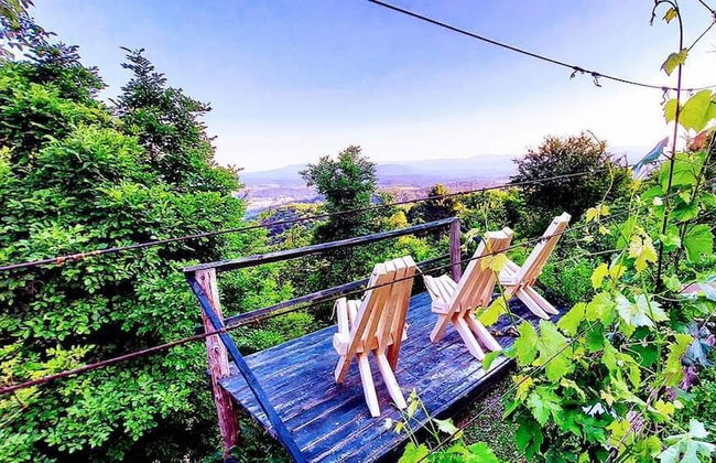 Vineyard cottage Verček - Photo 1