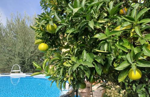 Rigoletto Cilento with private garden and pool - Foto 65