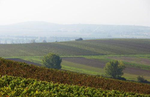 Ferienwohnungen im Weingut Huff-Doll - Foto 34
