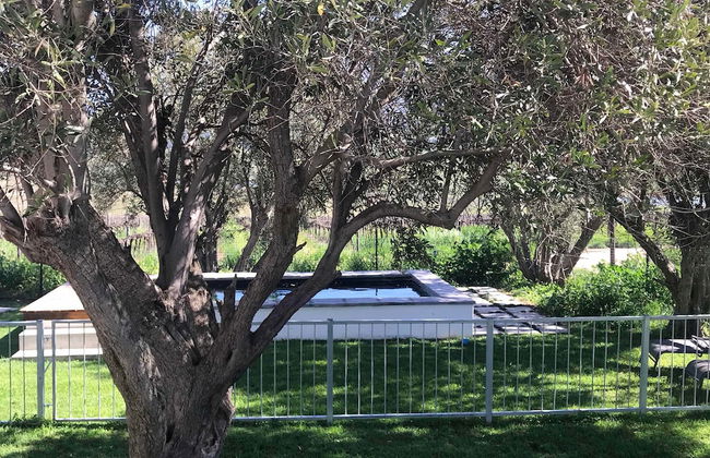 Denneboom Vineyards and Wildlife - Foto 32