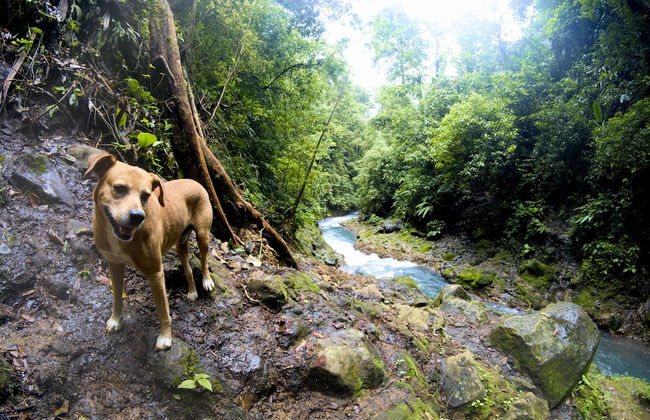 Oski Lodge - Foto 62