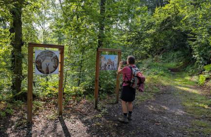 Burg Schöna - Suiten und Zimmer - Foto 56