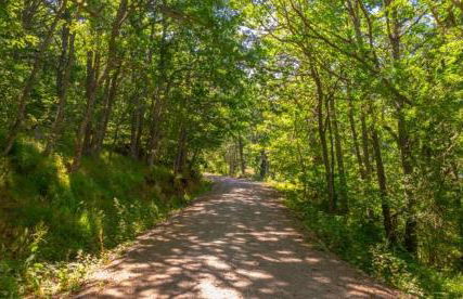 Casa Rural Calderón I - Foto 25
