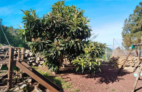 Los Huertos Conect with the nature & relax - Foto 58