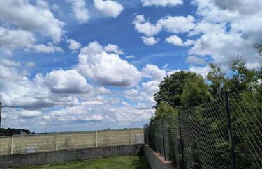 Haus in der Jemmeritzer Heide - Foto 6