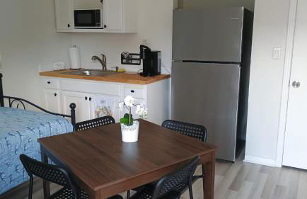 Seeing Busch Gardens from two apartments - Photo 13