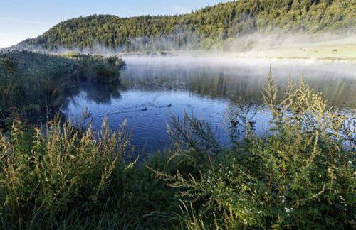 Le pied-à-terre du botaniste - Foto 21