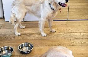 Sunny's House - Foto 36