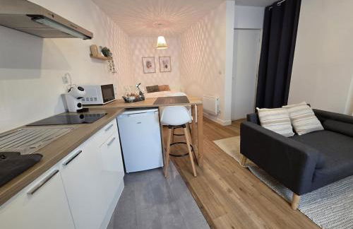 Le Timon - large studio avec Wi-Fi - Foto 10