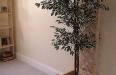 The Shady Corner, Flat 2, 16 Sandy Lane - Foto 11