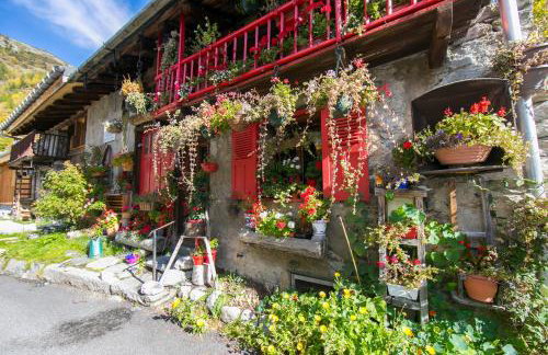 Résidence Igloo 3 ski in-ski out - Happy Rentals - Foto 19