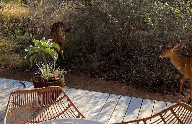 Holiday Home in Hoedspruit With Private Pool - Photo 18