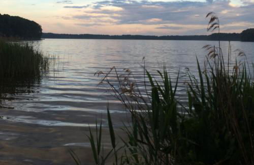 Kranichhof - Studio, Loft & Atelier - Photo 40