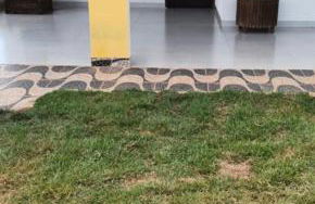 Chácara Condomínio Monte Siao - Photo 10