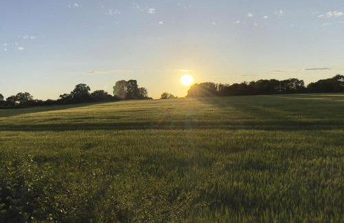 The Windmill Blackthorn Hill - Foto 42