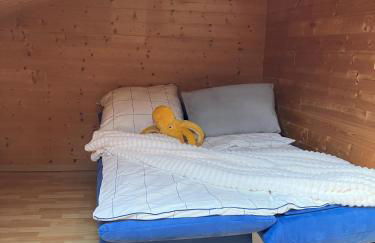 House Felecia - Phantasialand, Therme Euskirchen, Eifel-Region - Foto 24