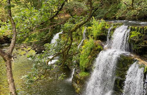 The Cwtch, Log Fire, Sleeps 6, Nr Zip World, Brecon and Bike Park Wales - Photo 47