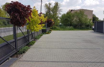 Apartament Angelo - Foto 9