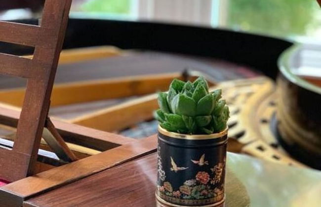 Oakshaw Apartment - Elegant Rustic Apartment in City Centre - Foto 11