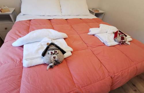 Casina Alpina sugli impianti Passo S Pellegrino - Foto 10