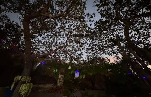 Lugar para descansar com a familia - Foto 71