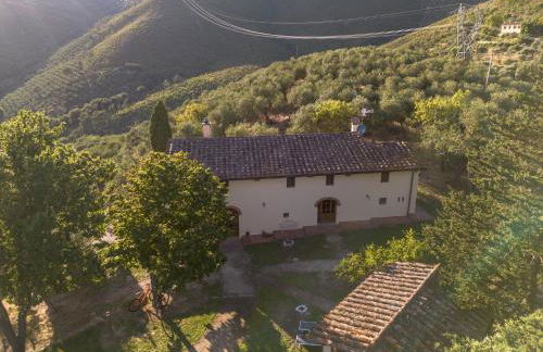 Villa in Tuscany with Pool and Olive Grove - Photo 31