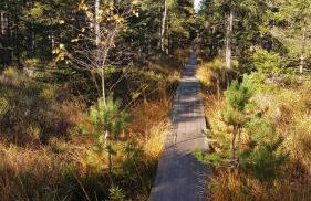 Morze Gór - Foto 35