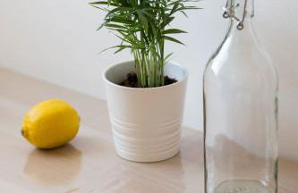 Forte apartments "Enjoy Salento" - Foto 27