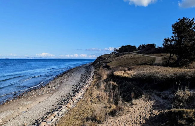 4 Person Holiday Home in Gilleleje - Foto 42