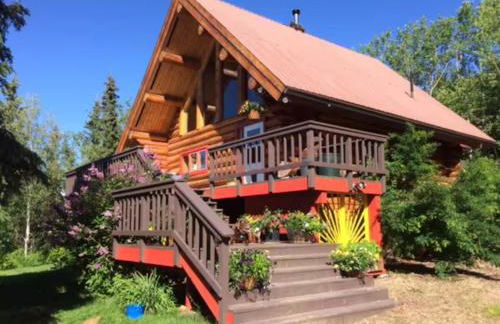 Moose Mountain Cabin- Cozy retreat with aurora views - Foto 25