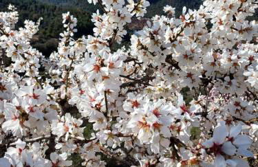 PRIORAT Ca la Iolanda "RELAX ESCALADA Y NATURALEZA" - Foto 49