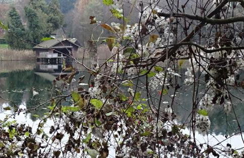 Villa Karlsbach - Foto 21