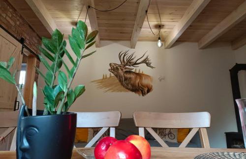 Mazurkowo domek Gaj-Grzmięca - Foto 16