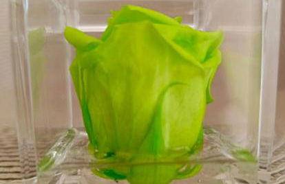 Sul Corso Sanremo - Foto 27