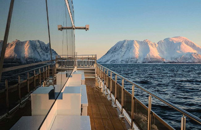 Crociera tra i fiordi artici - Foto 2