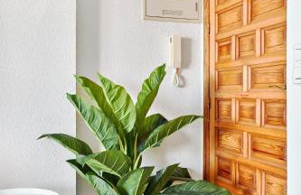 Espanhouse Martina First line sea view apartment with pool - Foto 29