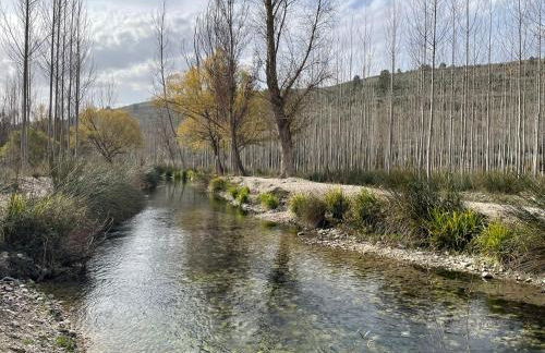 La Rosita alojamiento rural - Foto 40