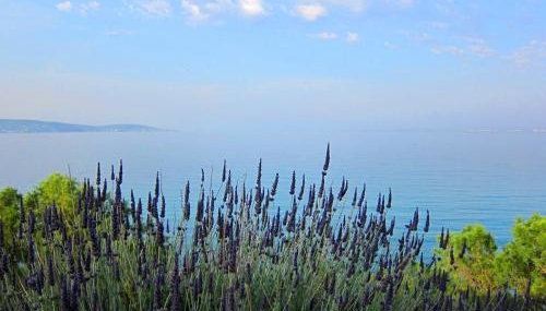 Amarandos Sea View Apartments - Foto 3, Garden view