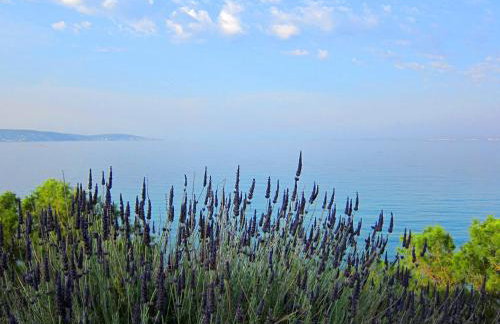 Amarandos Sea View Apartments - Photo 3