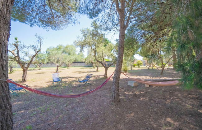 Masseria Le Palmentelle Pool And Garden - Photo 32