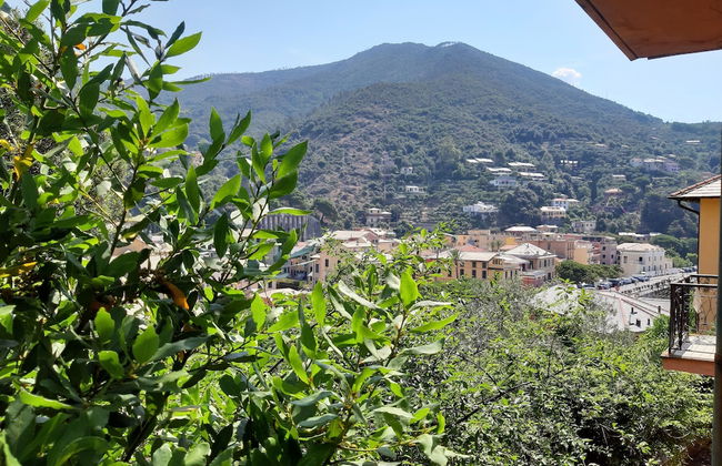 Casa Isotta - Foto 15