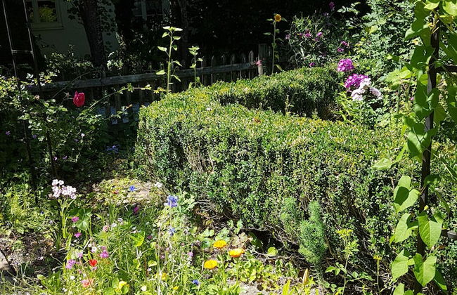 Ferienwohnung Wolter-Ruttloff - Foto 23