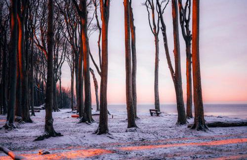 Ferienwohnung Sunset bei Warnemünde - Foto 45