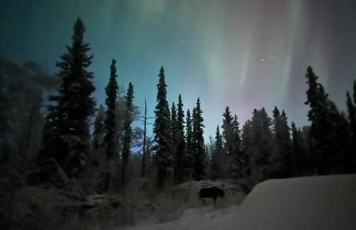 Northern Lights Getaway! - Foto 26