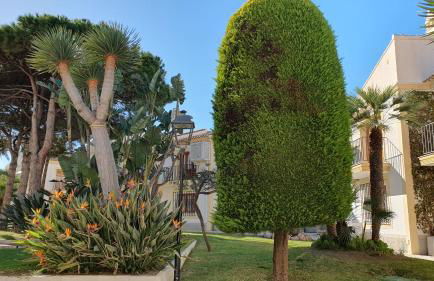 Very Very Vera Beach - Freshly Renovated - Foto 22