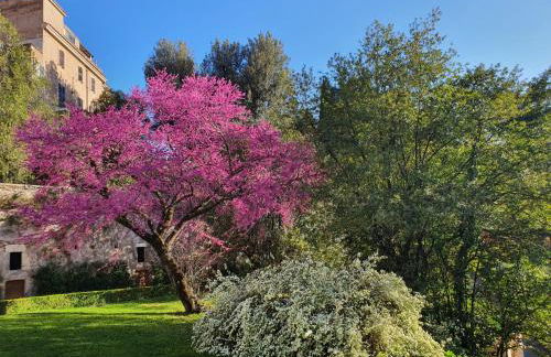 Vicolo d'Este - Photo 40