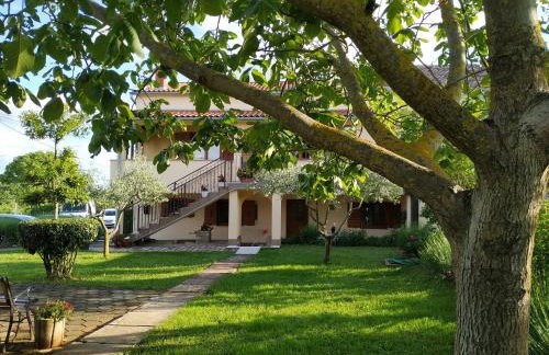 Apartment Dado - Foto 1